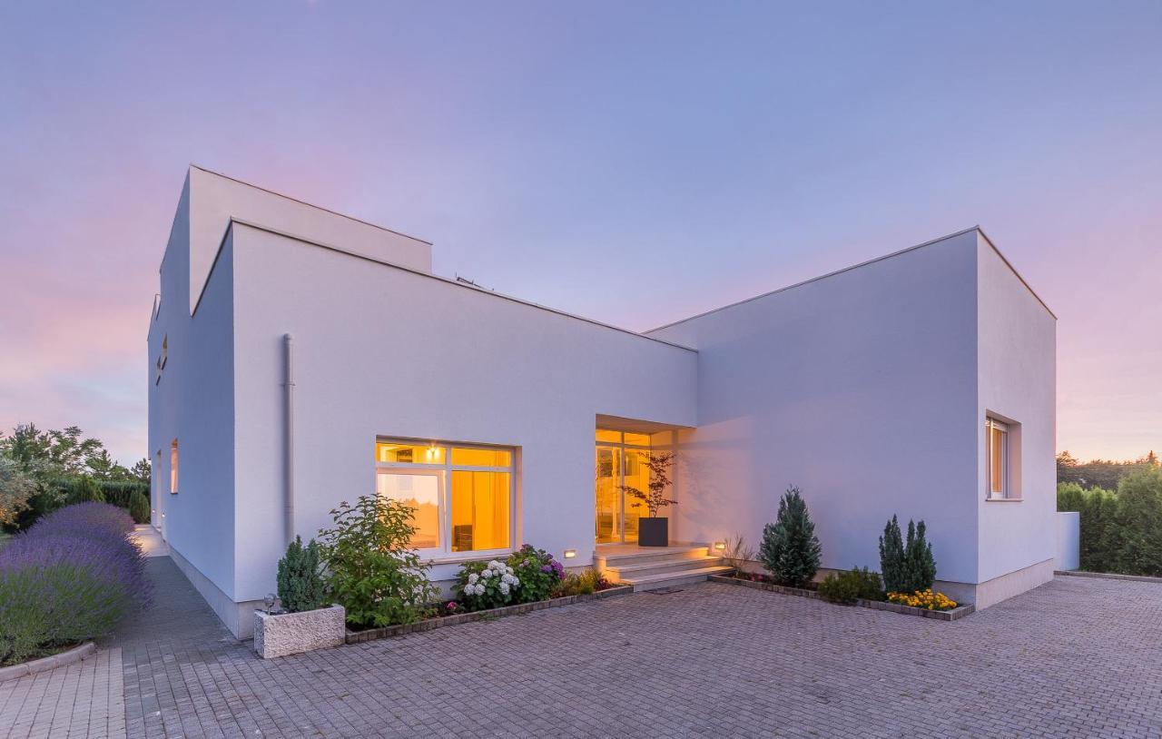 Villa Kate Istria Žminj Exteriör bild