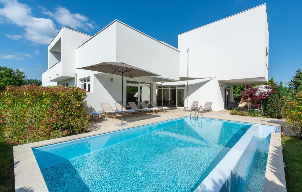 Villa Kate Istria Žminj Exteriör bild