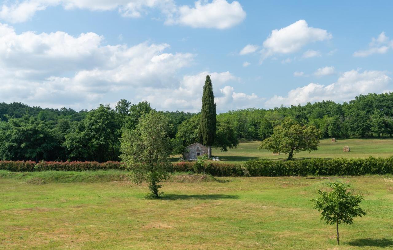 Villa Kate Istria Žminj Exteriör bild
