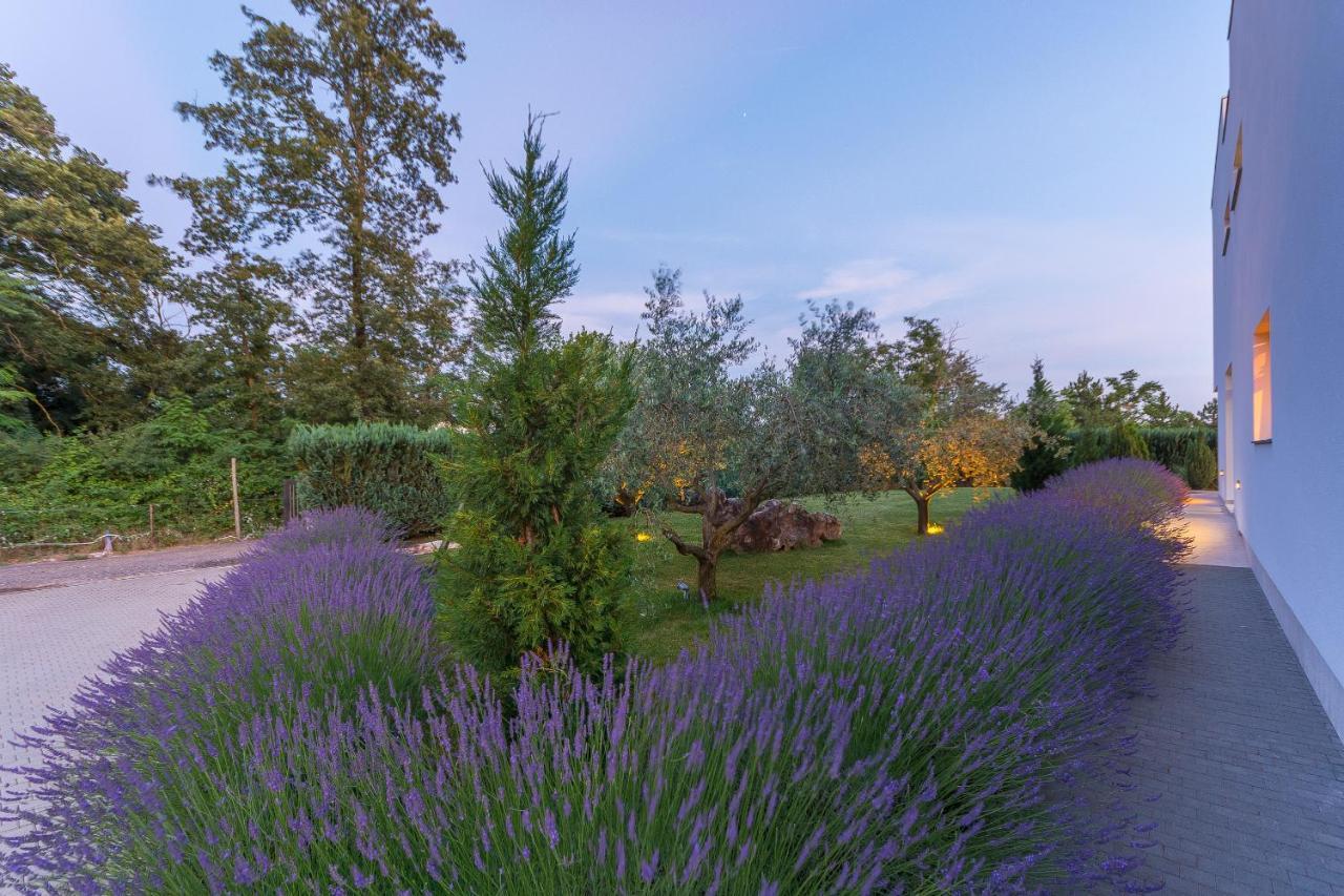 Villa Kate Istria Žminj Exteriör bild
